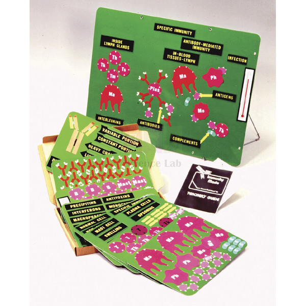 Teaching About Immunity Kit